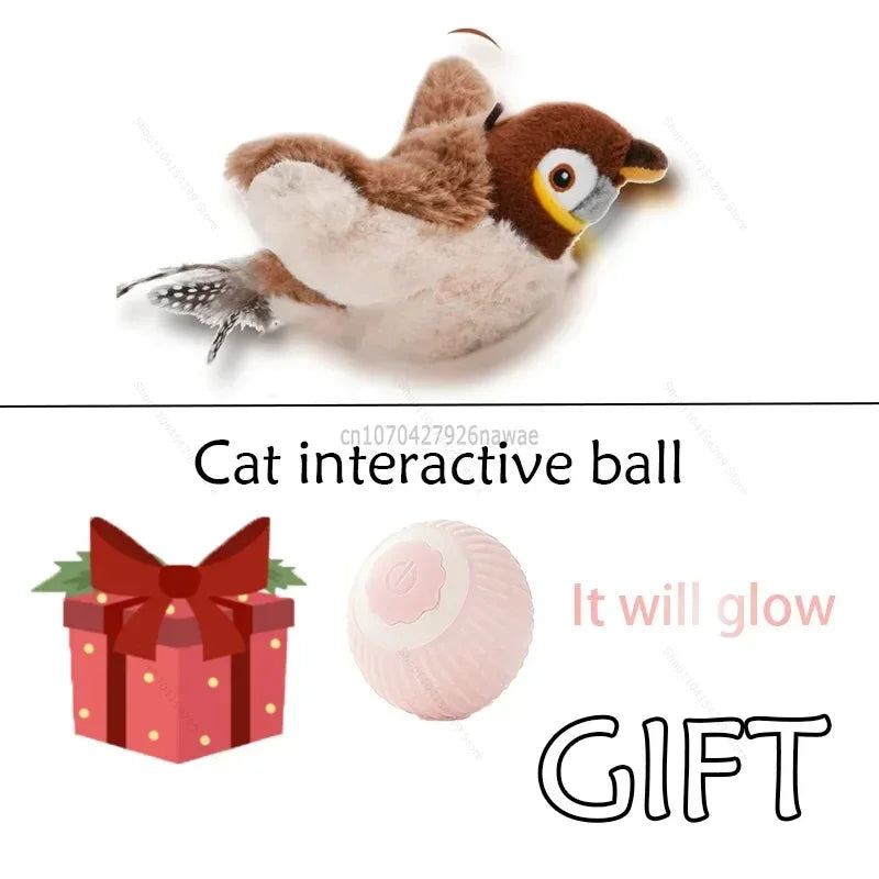 Interactive Cat Toys