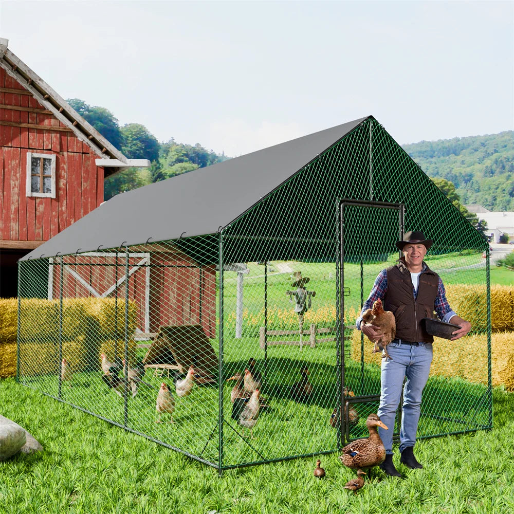 Heavy Duty Upgrade Outdoor Chicken Coop