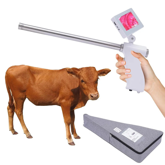 Visual Insemination Gun for Cows, Camels & Horses