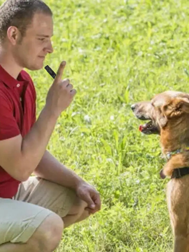 Ultrasonic Dog Whistle