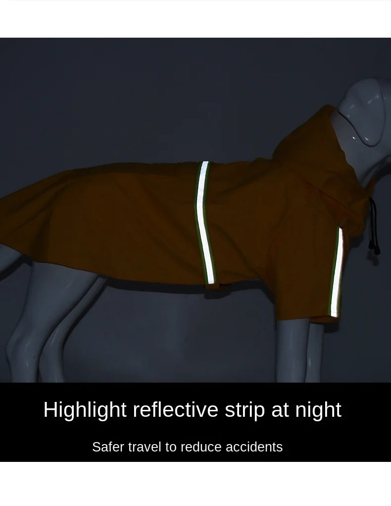 Big Dog raincoat