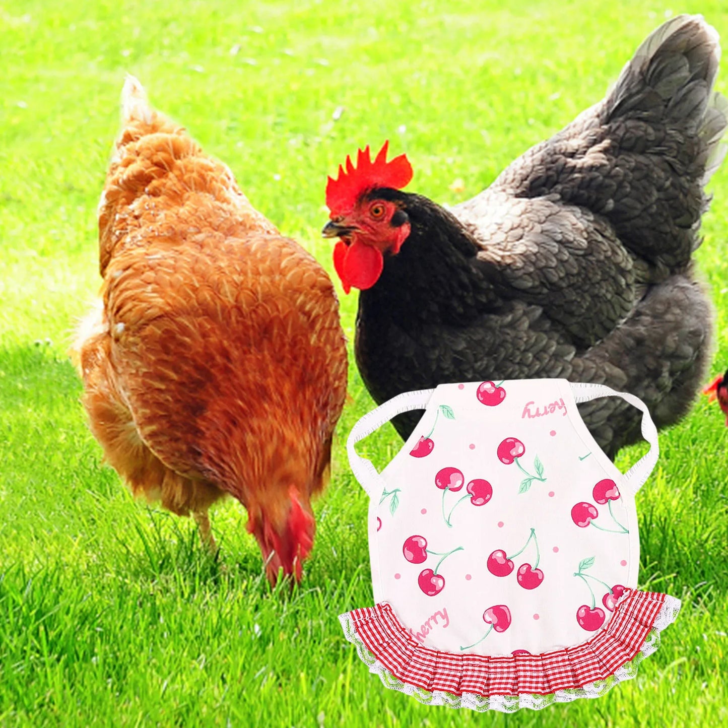 1pcs Farm Hen Feather Retainer Chicken Saddle Strap Apron
