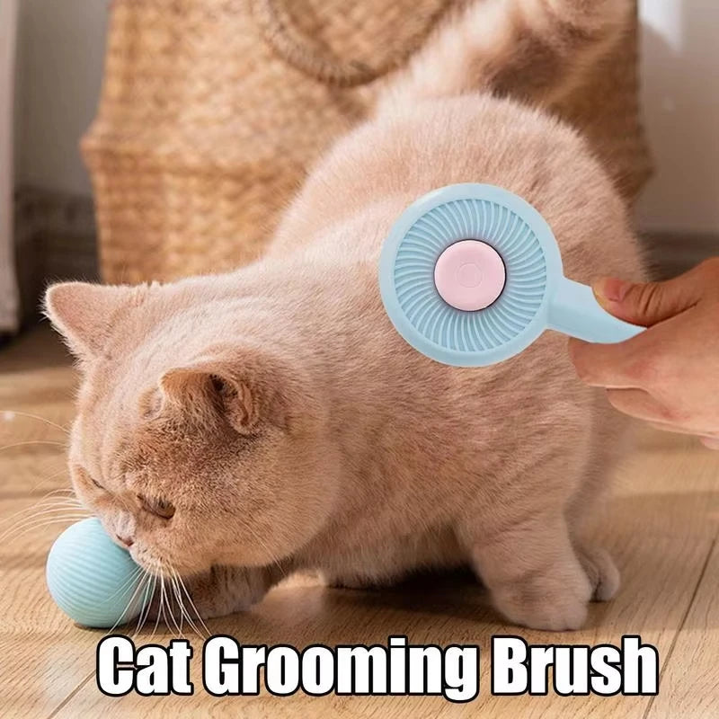 Cat Brush