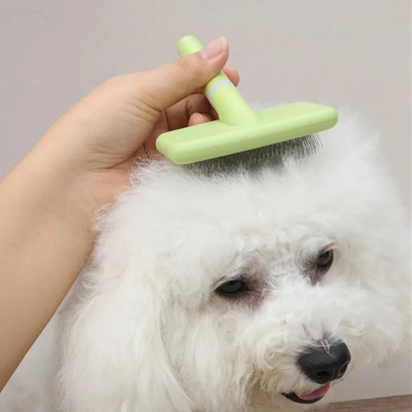 2PCS Dog Brush Pet Hair Remover