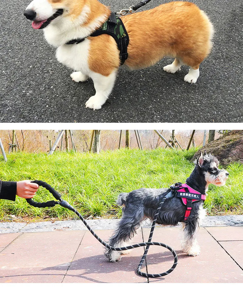 150/200/300cm Strong Dog Pet Leash