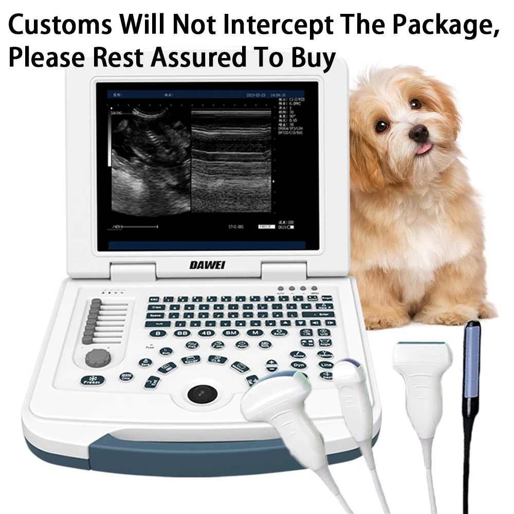 Portable Veterinary Ultrasound Scanner