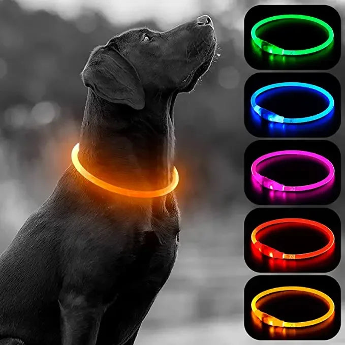 USB Charging Necklace Led Luminous Dog Collar Light