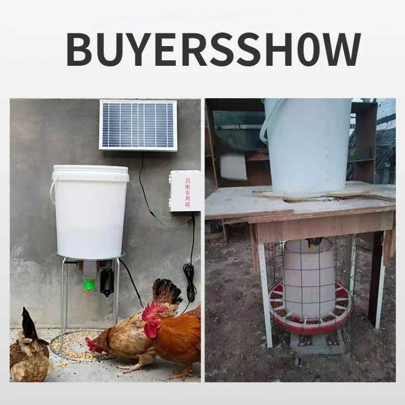 Automatic Chicken Feeder