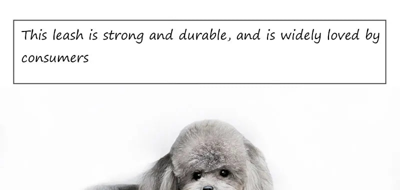 150/200/300cm Strong Dog Pet Leash