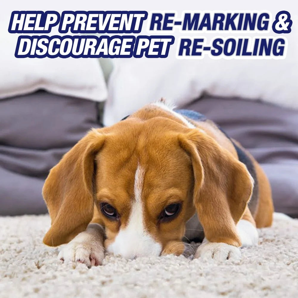 Pet Stain Odor Remover Spray