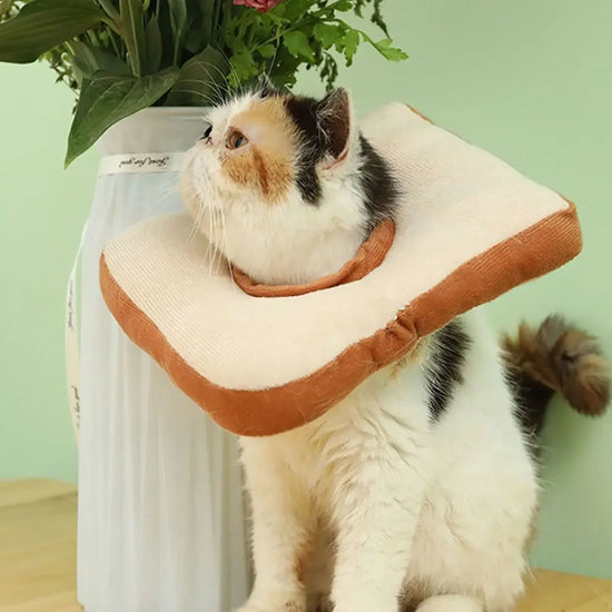 Elizabethan Inflatable Anti-Licking Neck Donut