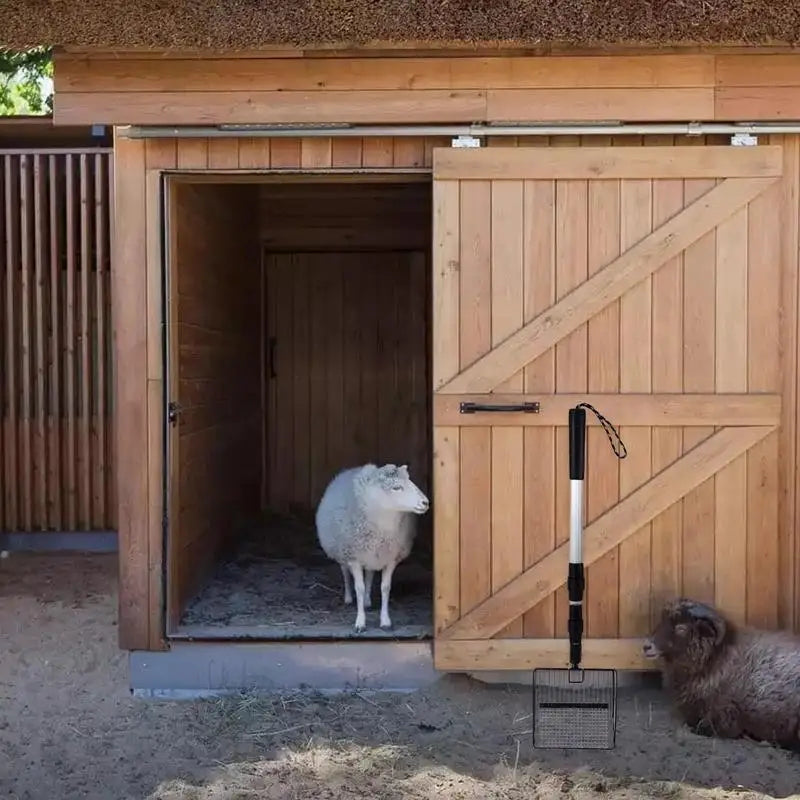 Chicken Coop Scooper