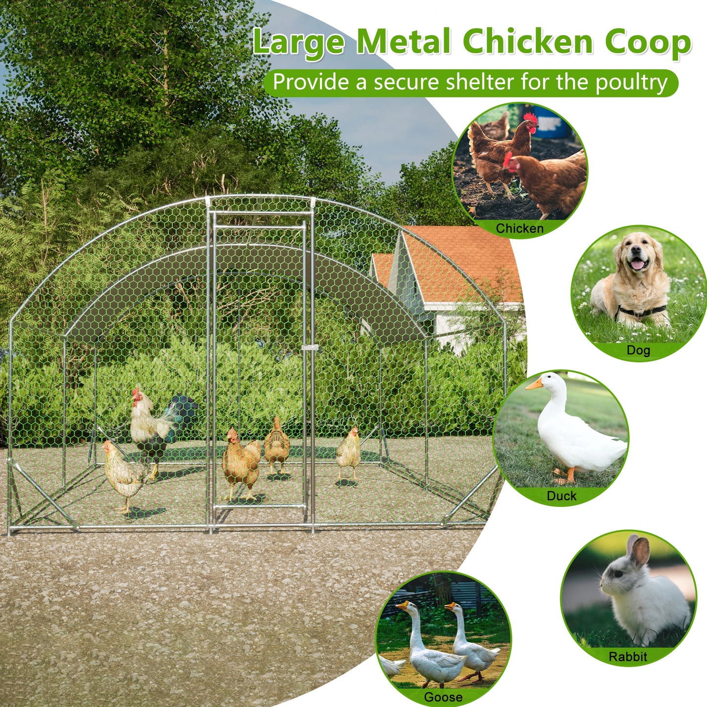 LZBEITEM Large Chicken Coop