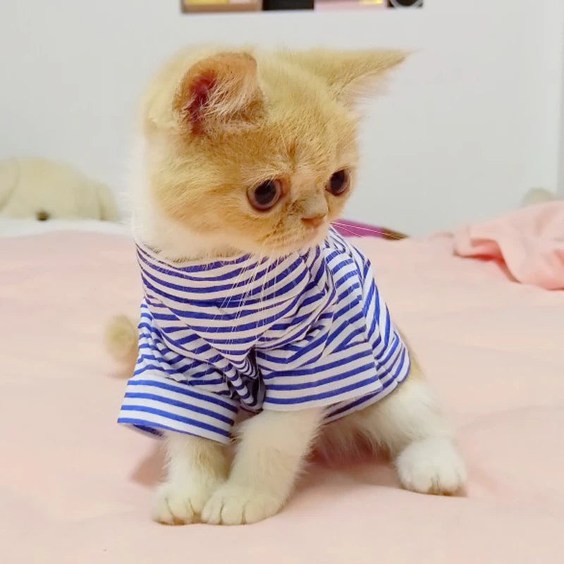 Cute Stripe Pet Cat Vest Shirt