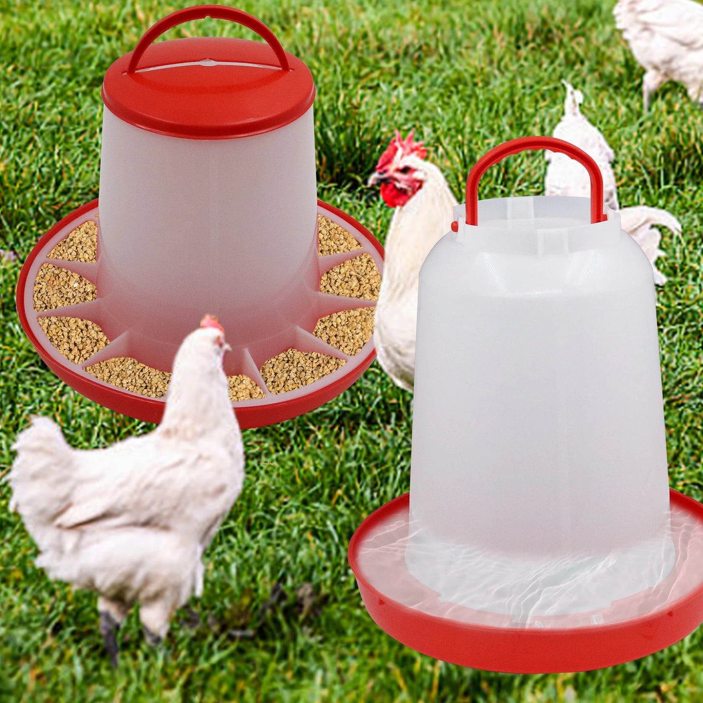 Chicken Poultry Feeder And Waterer Kit