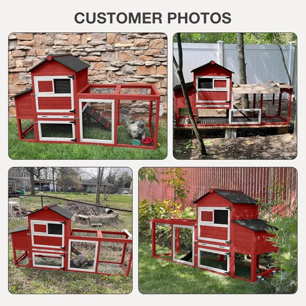Chicken Coop for Outdoor
