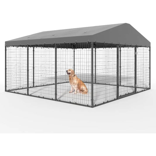 Large Outdoor Dog Kennel