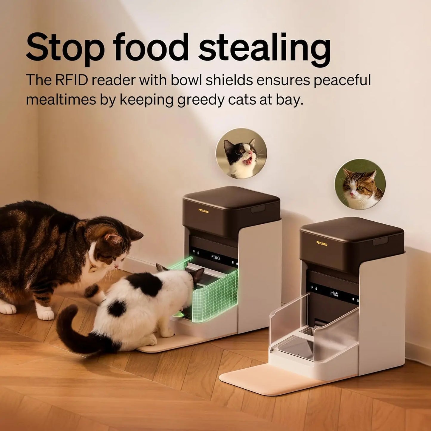 PETLIBRO RFID Automatic Cat Feeder for 2 Cats