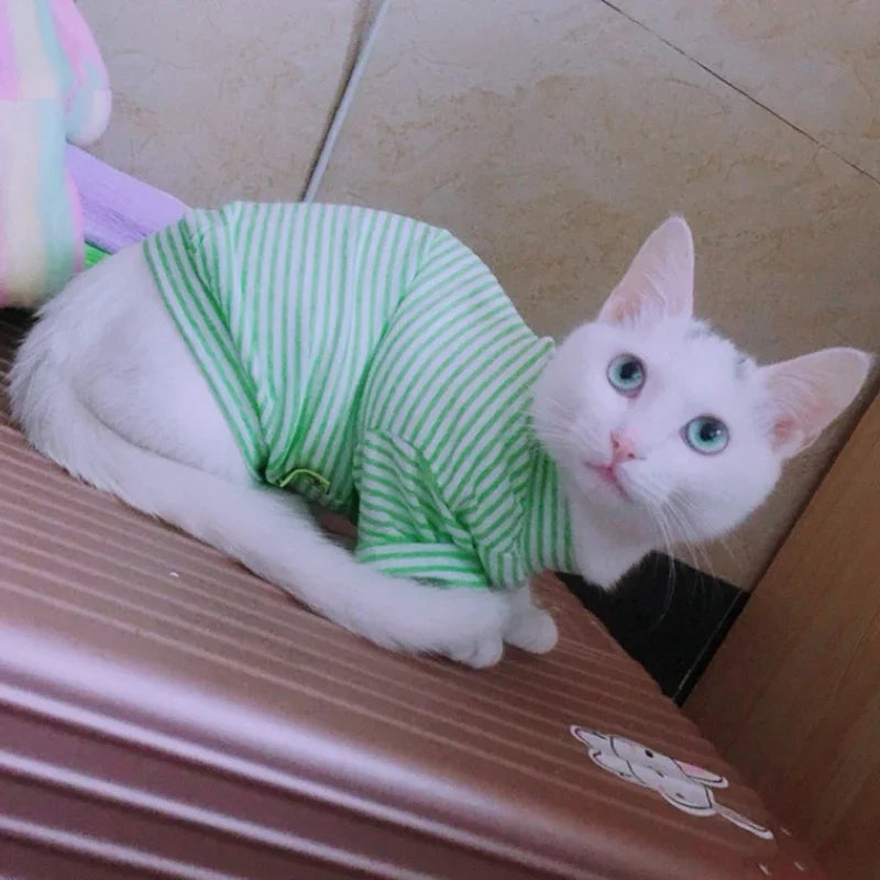 Cute Stripe Pet Cat Vest Shirt