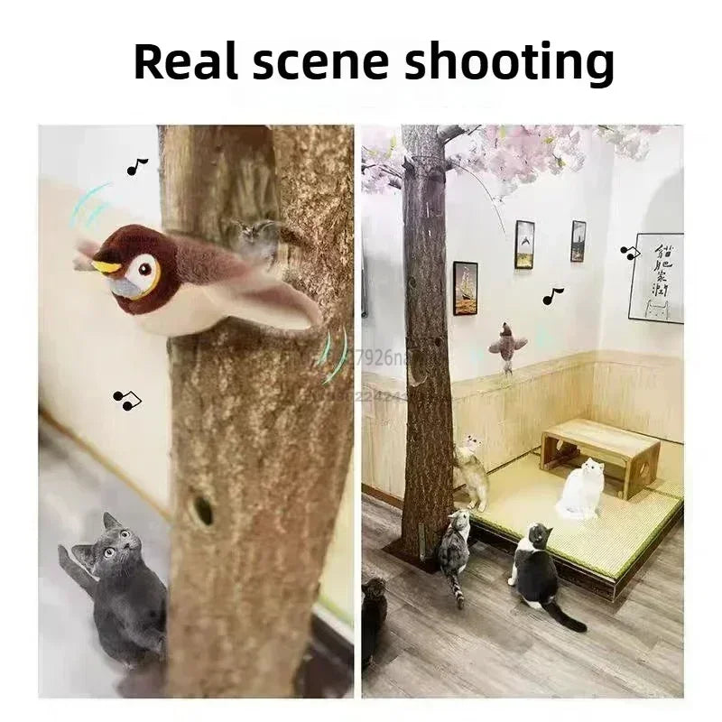 Interactive Cat Toys