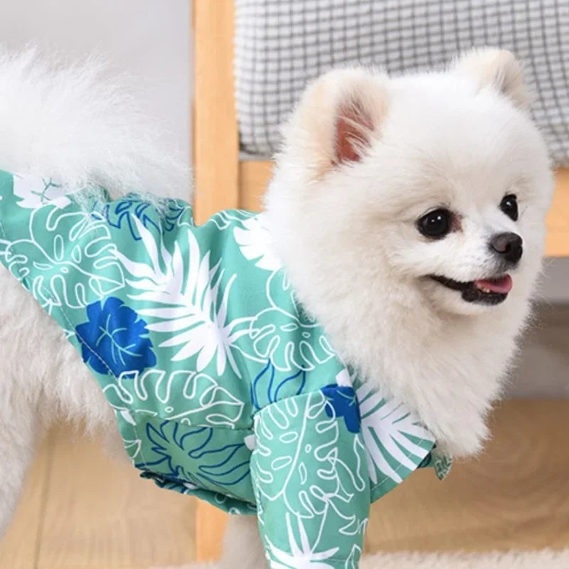 Summer Dog Clothes