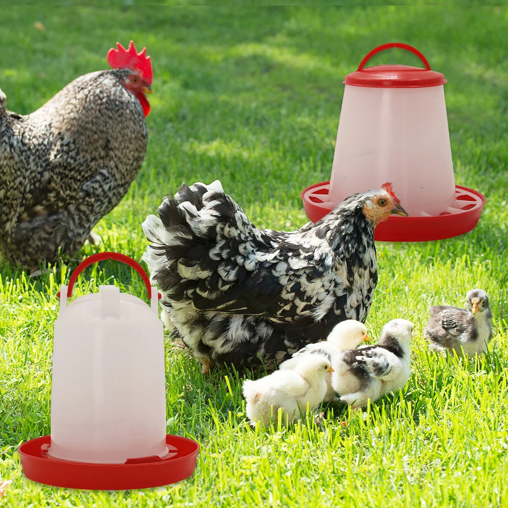 Chicken Poultry Feeder And Waterer Kit