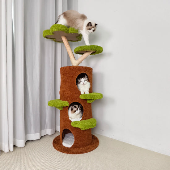 Indoor Cat Tree Tower