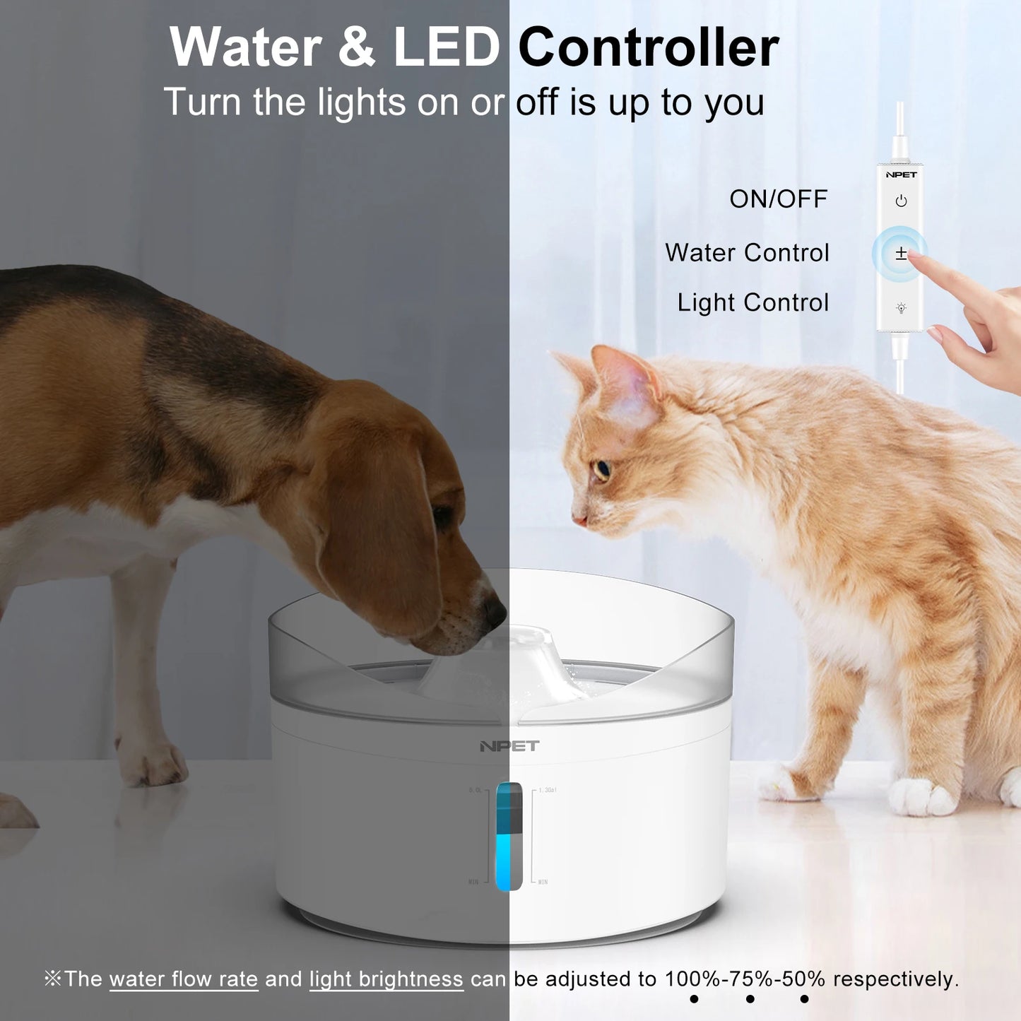 Automatic dog water fountain