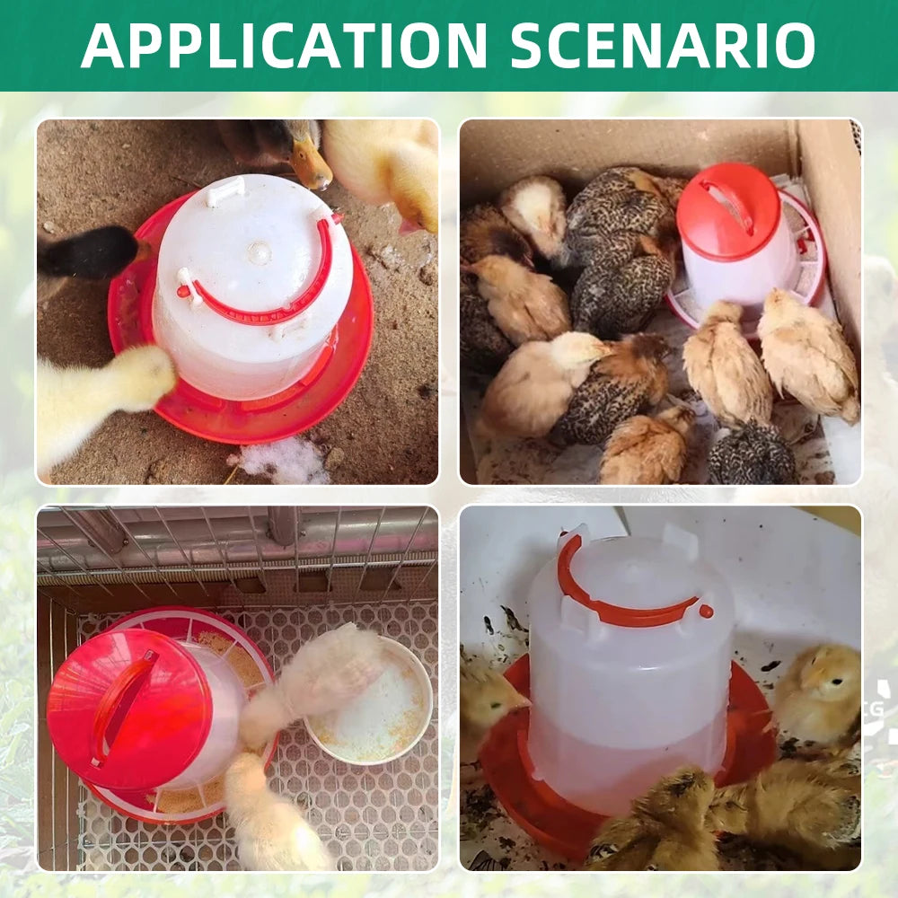 Chicken Poultry Feeder And Waterer Kit