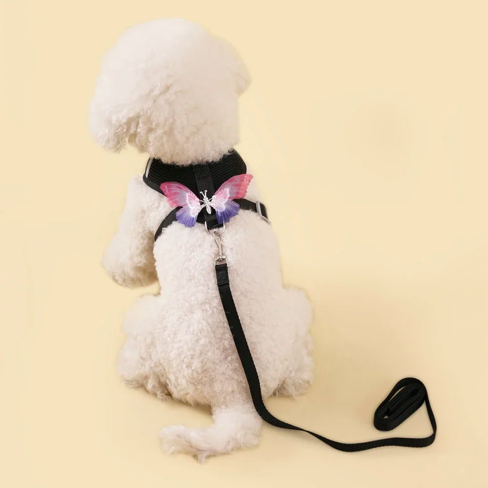Butterfly Cute Breathable Dog Harness Set