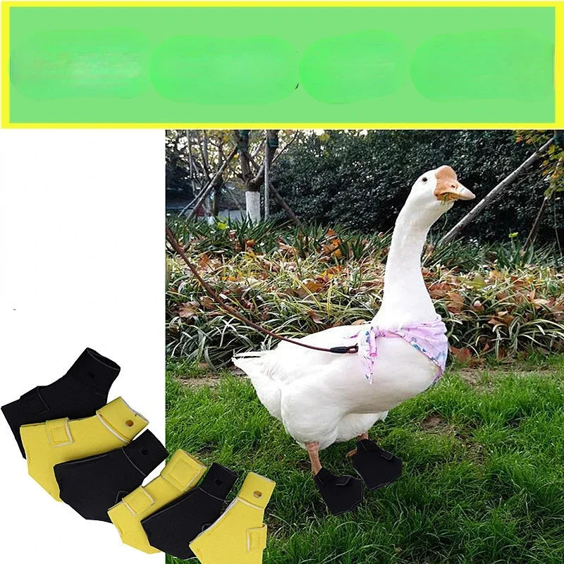 2pcs Waterproof Lightweight Pet Duck Shoes