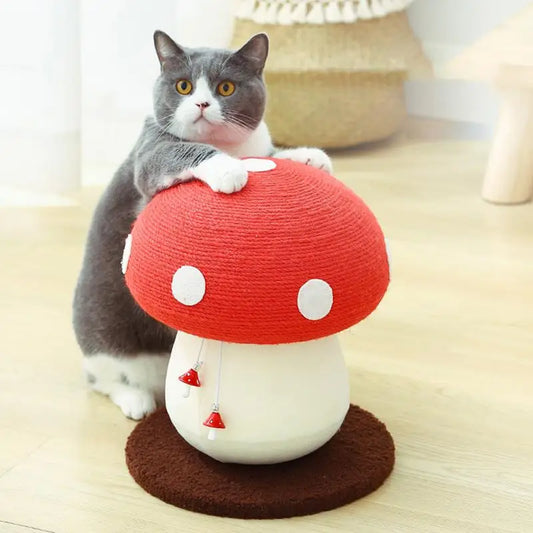 Cat Scratching Ball Toy