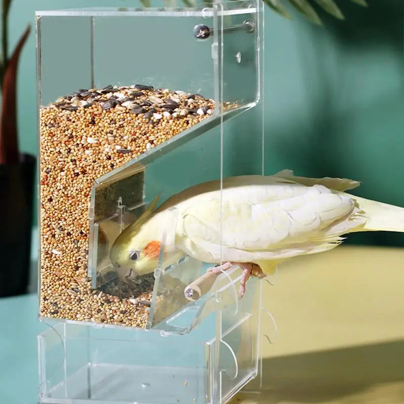 Parrot automatic feede