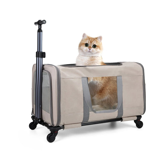Cat trolley for 2 cats