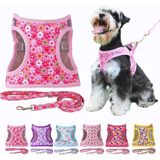 Step in Dog Harness Leash Set