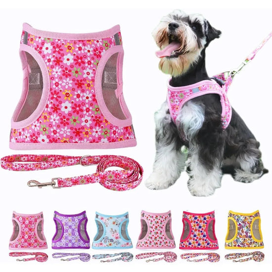 Step in Dog Harness Leash Set
