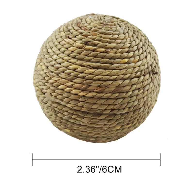 4PCS Pet Chew Toy