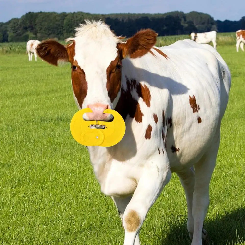 Calf Weaner Nose Rings