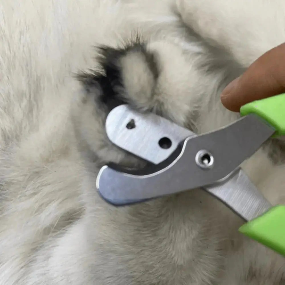 Professional Cat Nail Clippers for Small Cat Dog