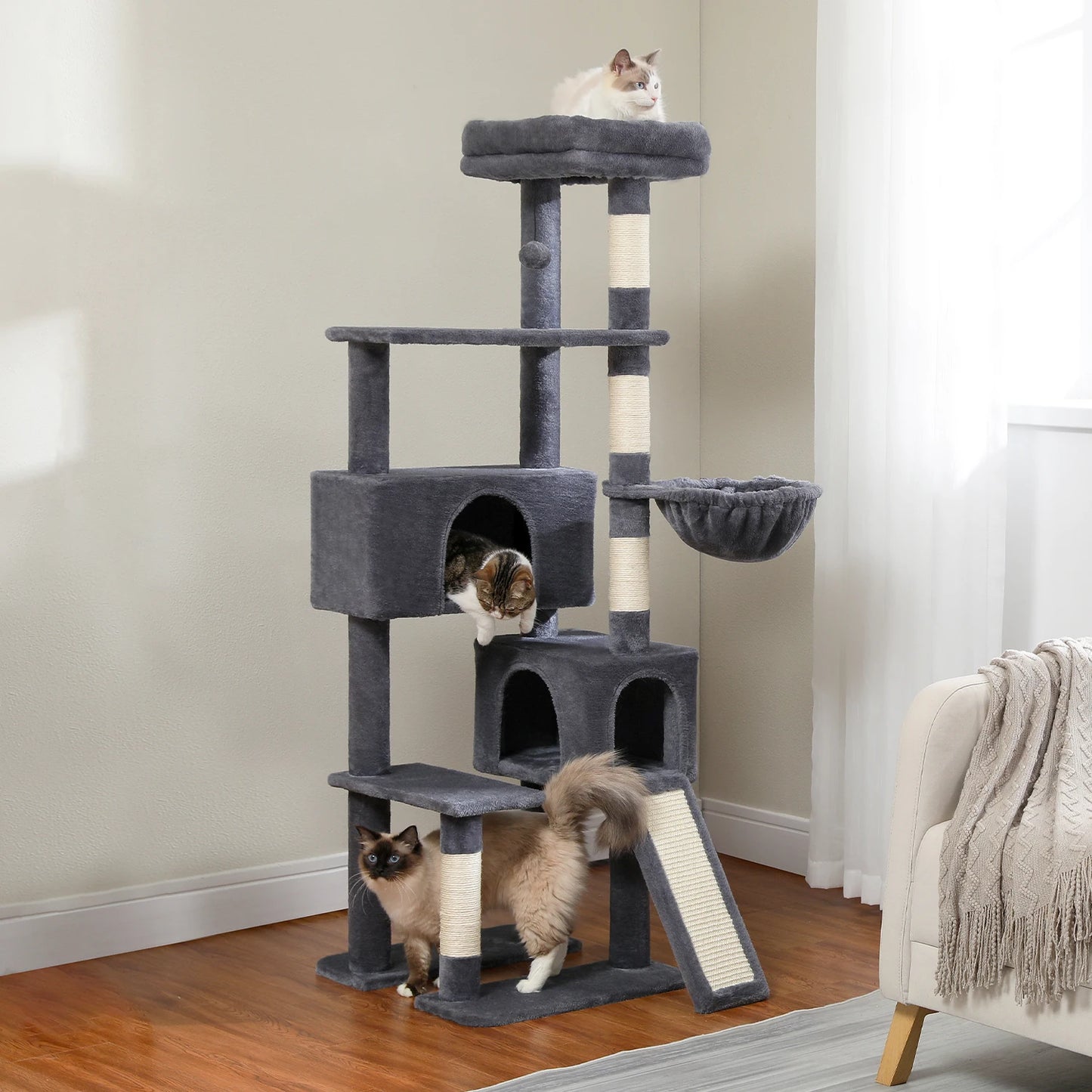 Multi-Level Cat Tree for Large Cats