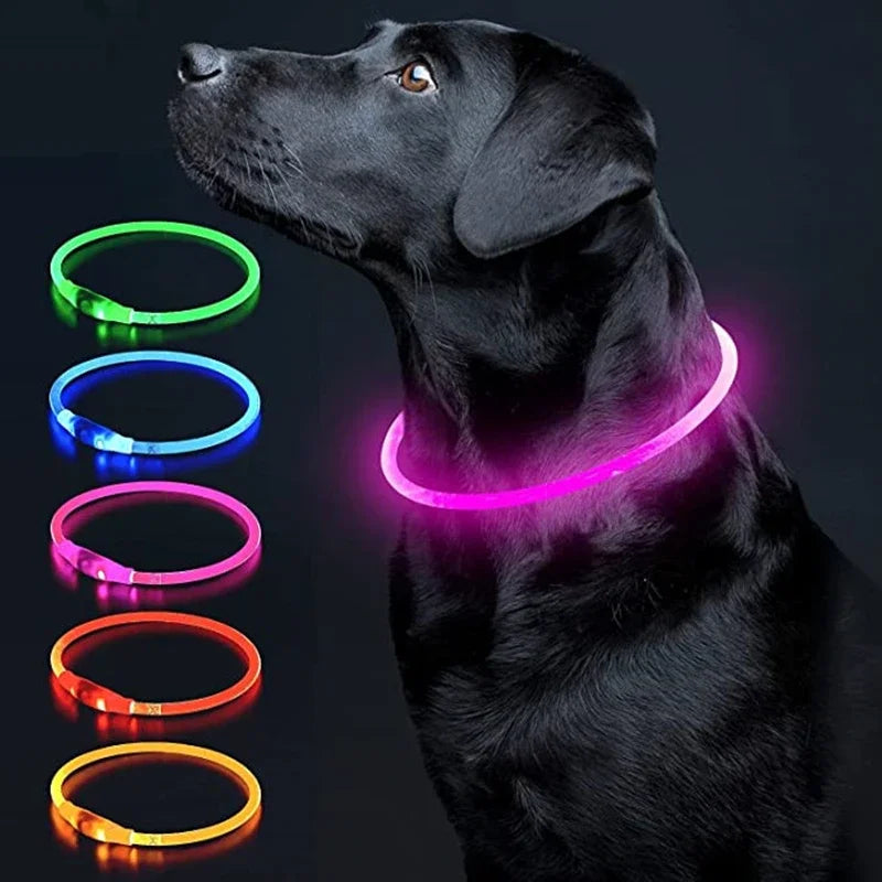 USB Charging Necklace Led Luminous Dog Collar Light