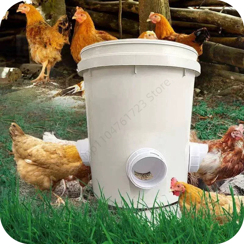 Poultry Automatic Gravity Feeder