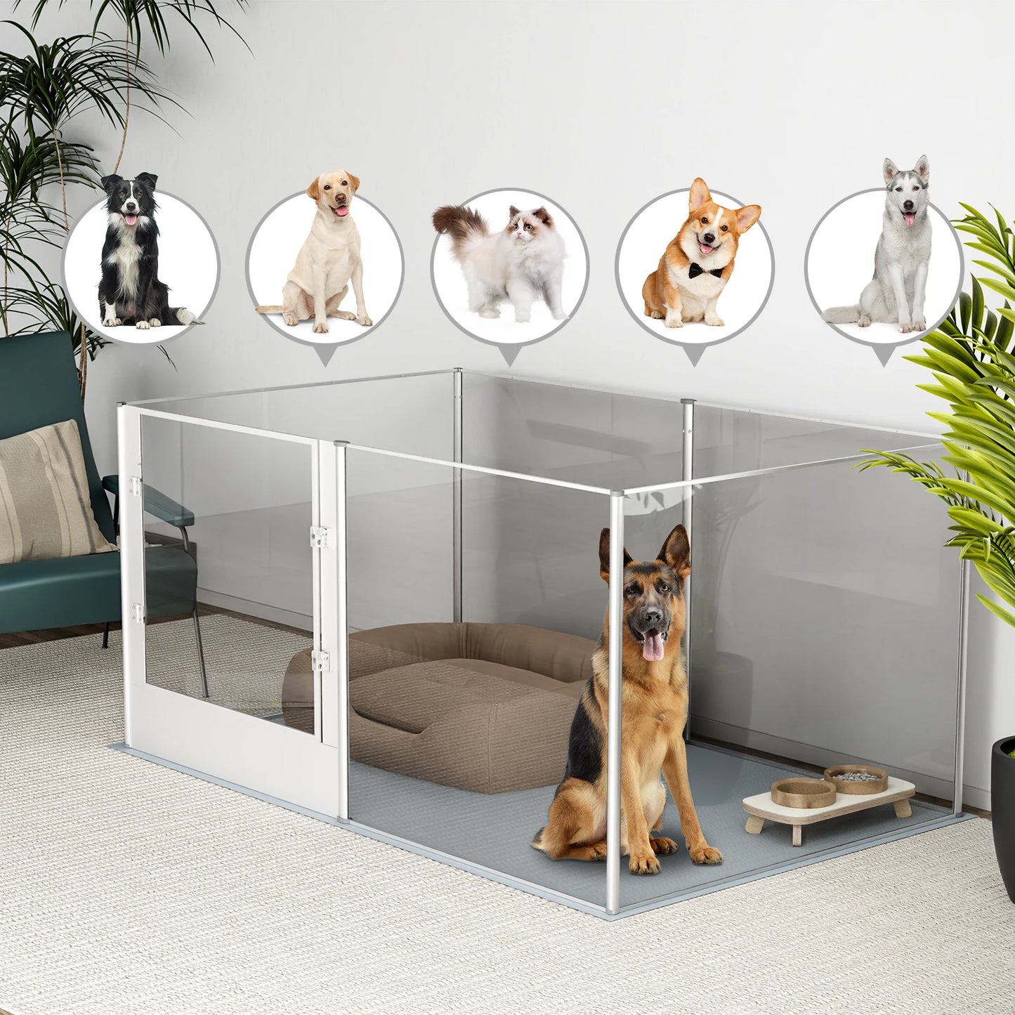 BingoPaw Acrylic Dog Playpen Fence