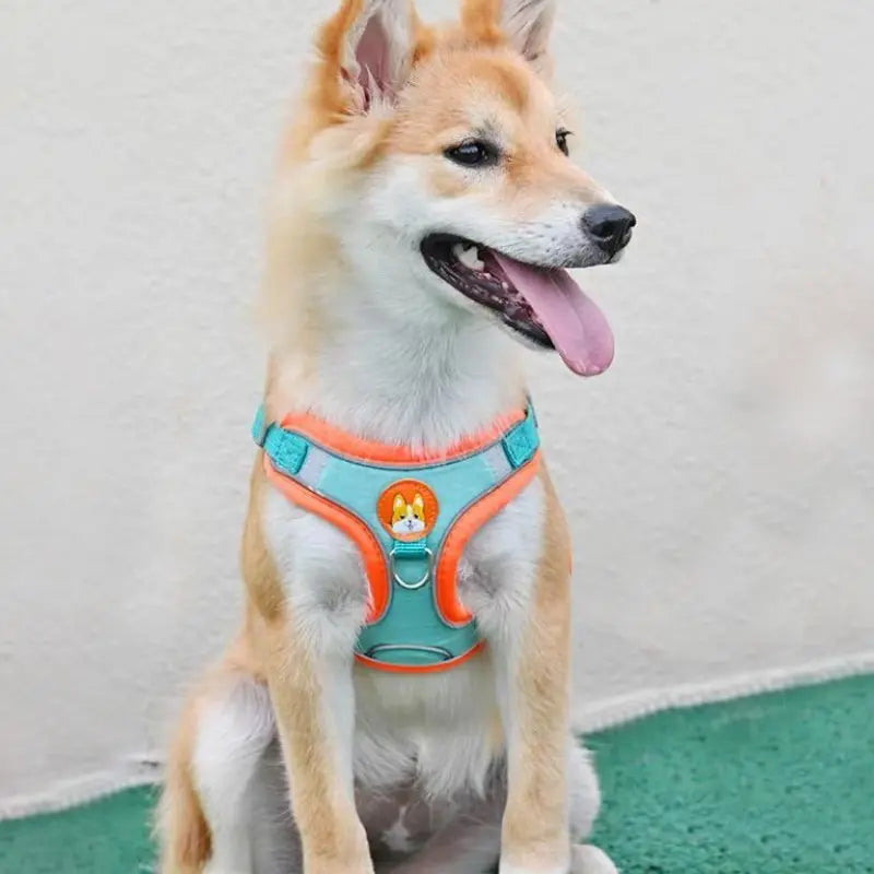 Chest Strap Vest Leash
