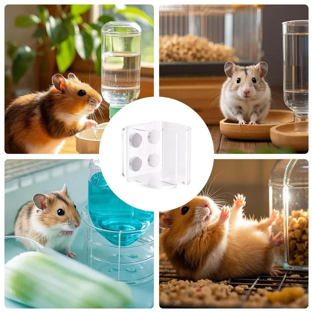 Guinea Water Bottle Stand