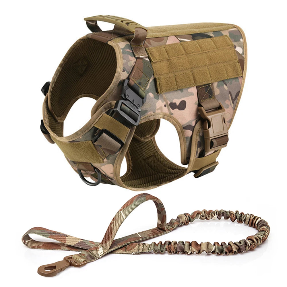 Large Dog Harness and Leash Set
