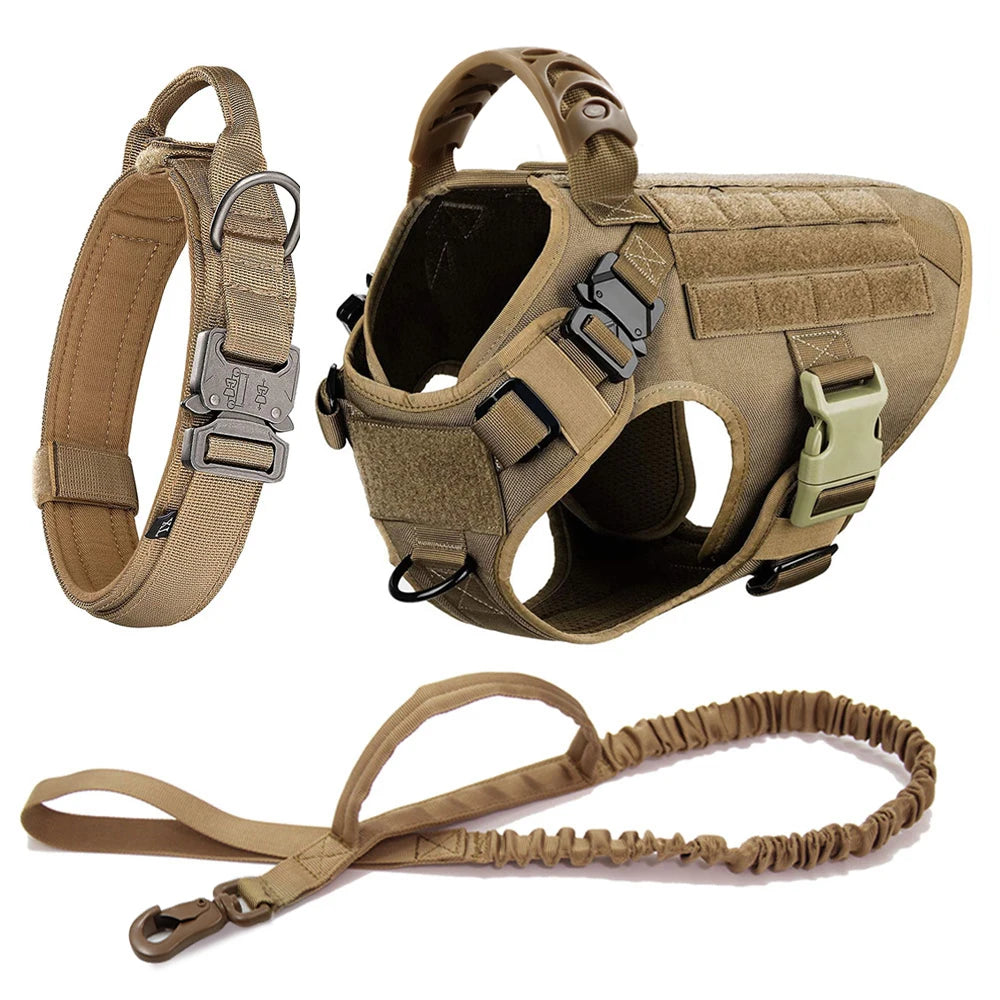 Large Dog Harness and Leash Set