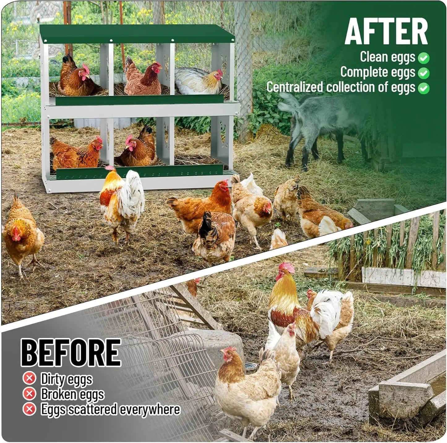 Metal Chicken Nesting Boxes