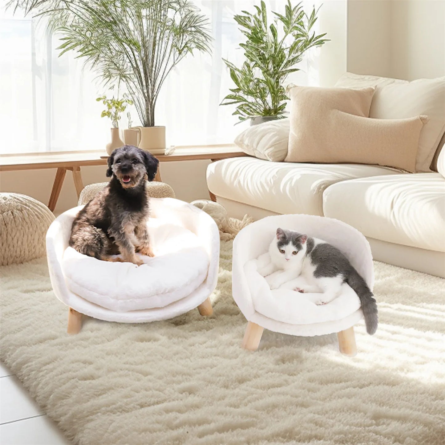 Pet Sofa Bed Raised Cat Chair Small Dog Couch Bed