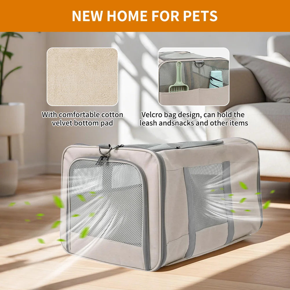 Cat trolley for 2 cats